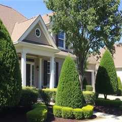 Enhance Property Value with Strategic Tree Maintenance