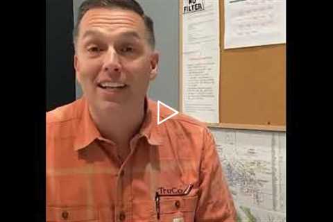 Tree Root Removal Under Concrete