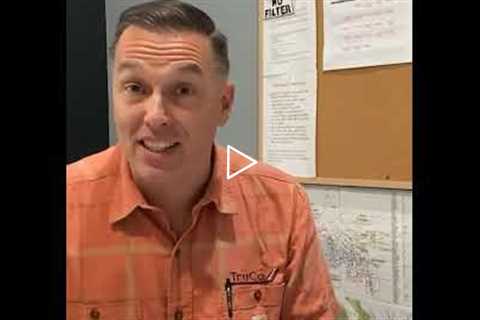 A Cut Above Tree Removal