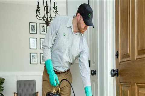Creating a Clean Start with Indoor Pest Control Before Relocation