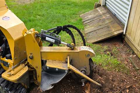 Stump Grinding and Landscape Improvement with Smart Equipment Planning