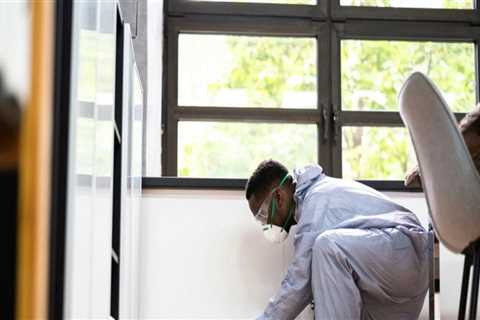 Indoor Pest Control and the Importance of Inspecting Wall and Wiring Spaces