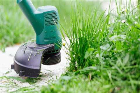 Lawn Care Services Approaches That Complement Electrical Efficiency