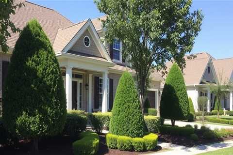 Enhance Property Value with Strategic Tree Maintenance