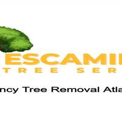 Emergency Tree Removal Atlanta, GA