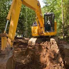 Understanding the Ecological Consequences of Tree Excavation
