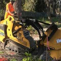 Understanding the Role of Root Pruning in Tree Excavation