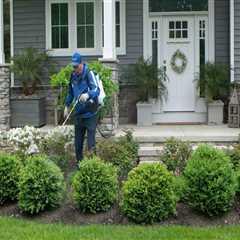 How Landscape Contractors Enhance Yards While Supporting Pest Management