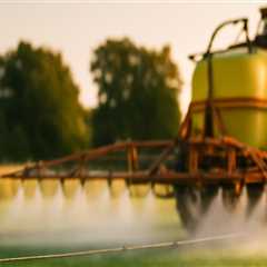 Effective Strategies for Weed Control in Turf Management
