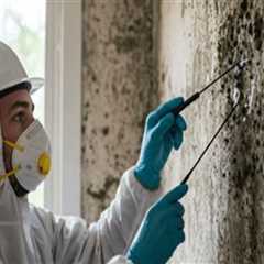 How Exterior Painting Projects Benefit from Thorough Mold Inspection