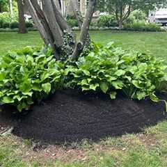 Mulch Company West Chester, PA