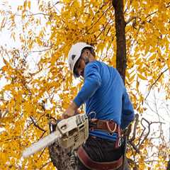 How Arborists in Texas Manage Equipment Transfers Between Large Service Areas