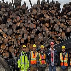 How Exterior Property Improvements Help Support Safer Forestry Equipment Operations