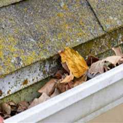 How Seasonal Roof Damage Can Trigger Unexpected Mold Problems Indoors