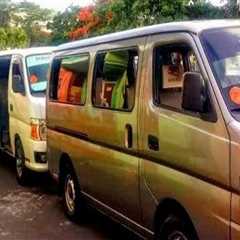 Why Some Families Use Separate Transportation Arrangements During Moving Day
