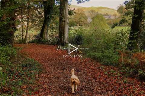 Soft days, simple moments | Piano Playlist