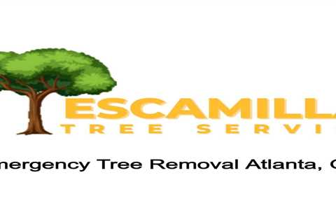 Emergency Tree Removal Atlanta, GA