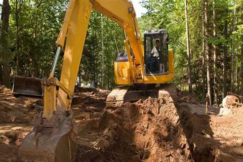 Understanding the Ecological Consequences of Tree Excavation