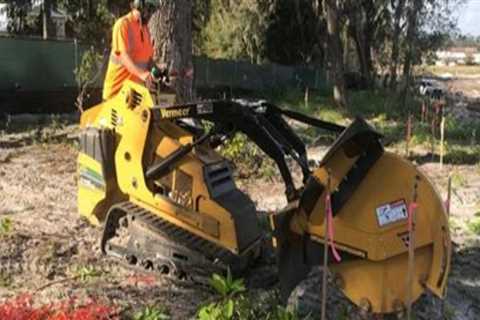 Understanding the Role of Root Pruning in Tree Excavation