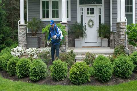 How Landscape Contractors Enhance Yards While Supporting Pest Management