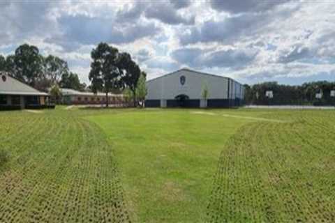 Effective Strategies for Preventing Turf Compaction and Its Importance in Turf Management
