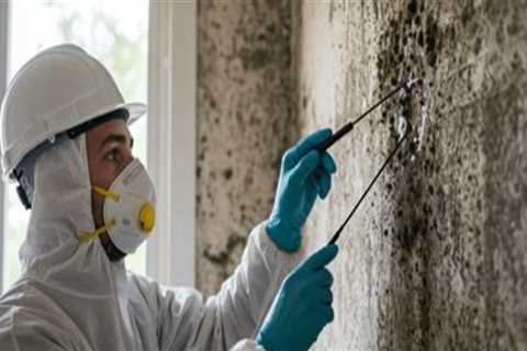 How Exterior Painting Projects Benefit from Thorough Mold Inspection