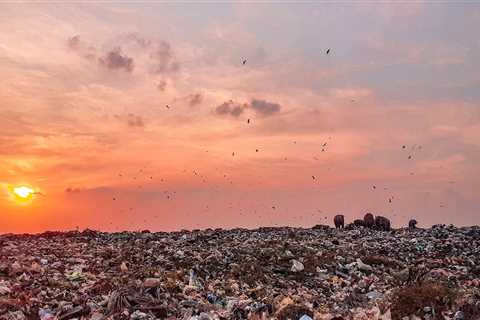 Keep Your Property Safe with Expert Trash Removal in Troutdale