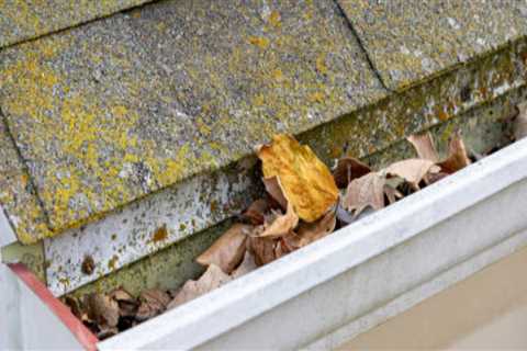 How Seasonal Roof Damage Can Trigger Unexpected Mold Problems Indoors