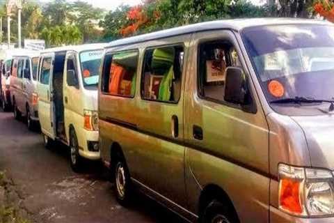 Why Some Families Use Separate Transportation Arrangements During Moving Day