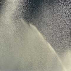 Importance of Tree Inspection and Irrigation for Loudoun County