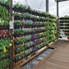 Innovative Ways to Integrate Vertical Gardening into Your Rooftop Garden Design
