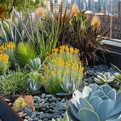 Choosing the Right Plants for Your Rooftop Garden Design