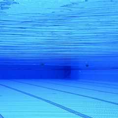 How Landscape Contractors Influence Quality Pool Construction in Rapperswil-Jona