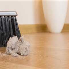 Elevate Your Home with Cleanliness and Maintenance in Provo