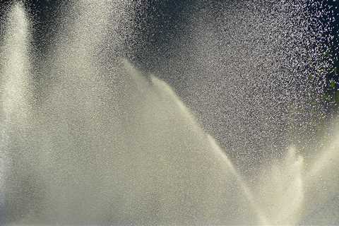 Importance of Tree Inspection and Irrigation for Loudoun County